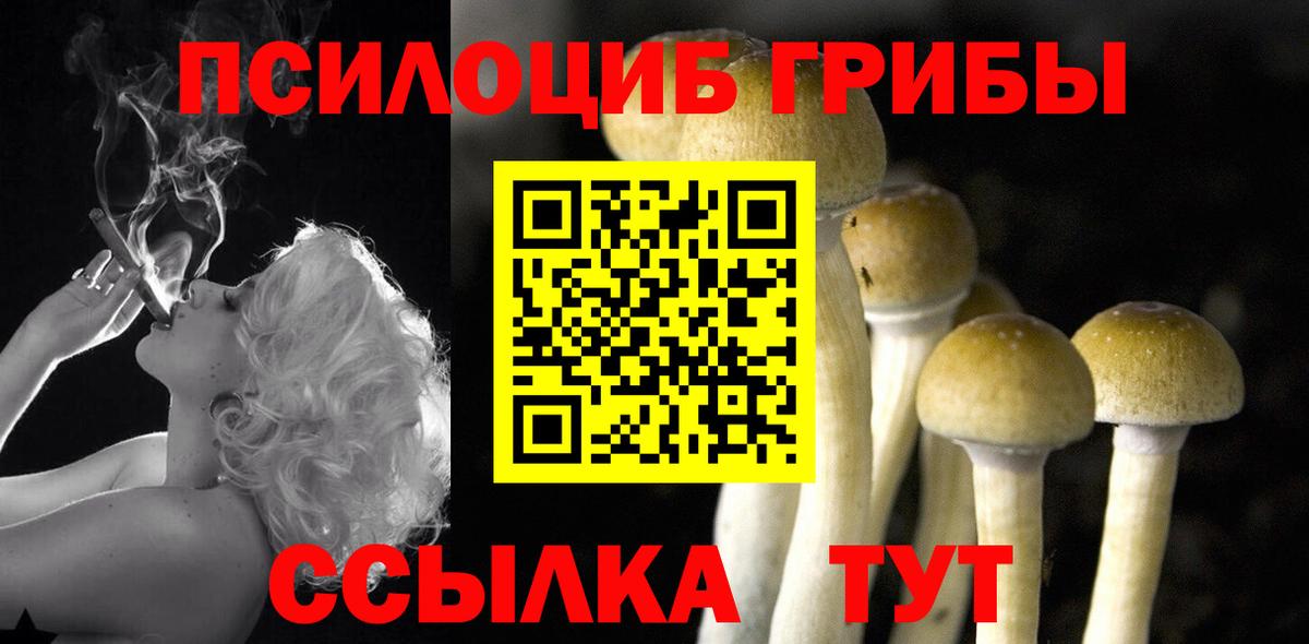 Псилоцибиновые грибы мицелий  Вход с VPN  Асино 