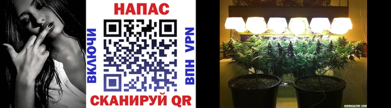 Каннабис White Widow  как найти наркотики  Асино 
